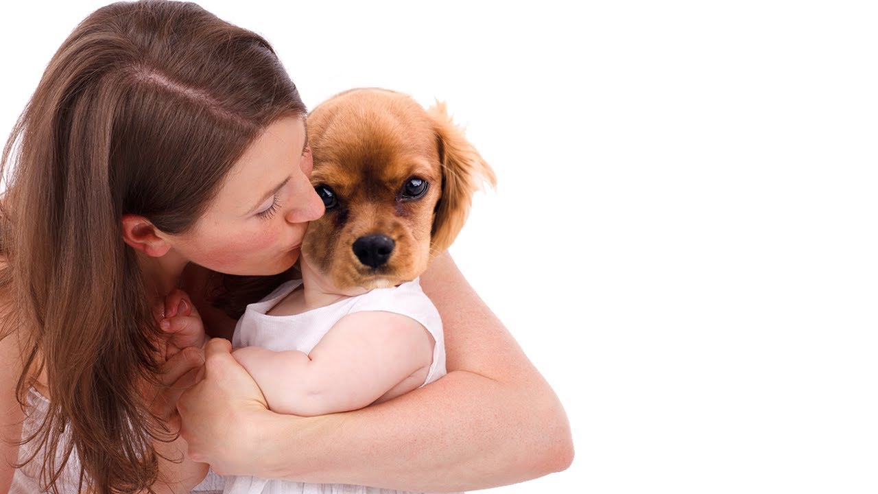 Why are people Obsessed with Dogs??