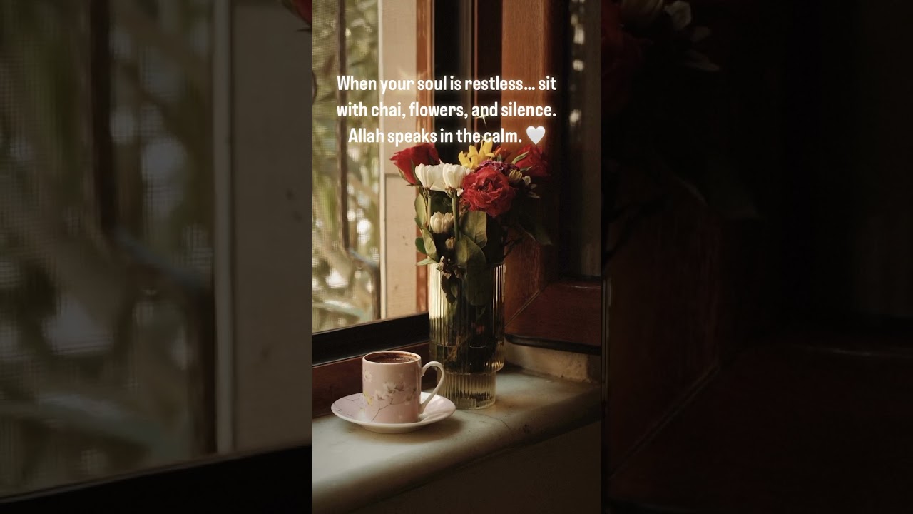 Stillness Speaks 🌸 | Finding Peace Within | BeenVlogs