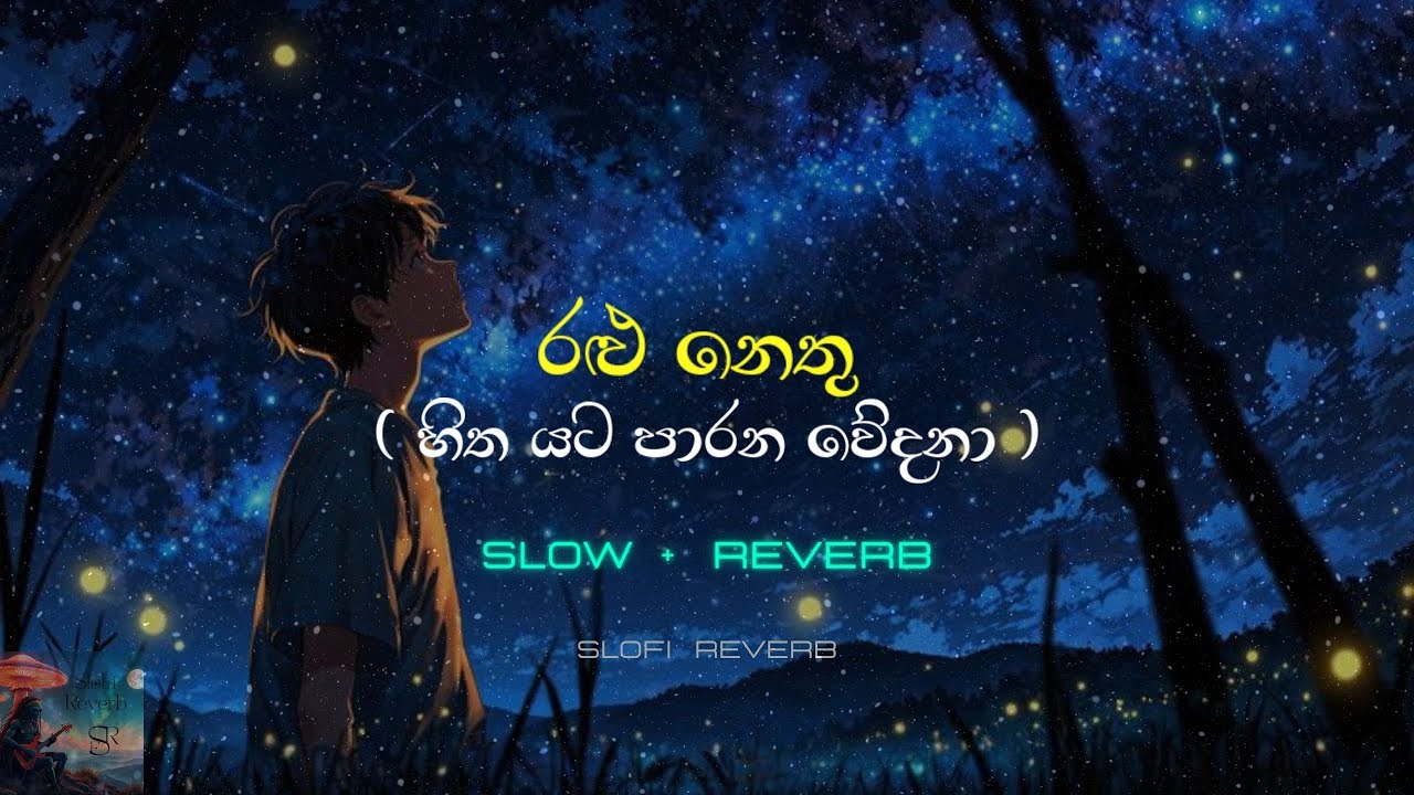 Ralu Nethu | Slowed + Reverb | හිත යට පාරන වේදනා | Dilu Beats Iman Fernando
