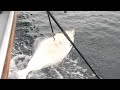 FIRST TIME HALIBUT FISHING IN SEWARD, ALASKA