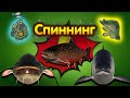 СОМ◦ПАЛИЯ◦ЛОСОСЬ◦СПИННИНГ◦level◦Русская рыбалка 4!