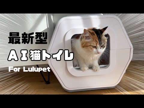 LuluPet スマートトイレ(ホワイト) 猫用 健康状態自動チェック 猫の健康管理が出来る最新型AIトイレ使ってみた【 LuluPet