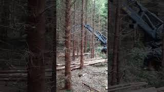 Rottne H 8 i 1:a gallring i Småland Sweden #logging #forestry