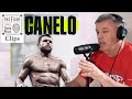 Teddy Atlas - What's Next for Canelo After Kovalev Win (GGG? Light Heavy? Super Middle?) | CLIPS