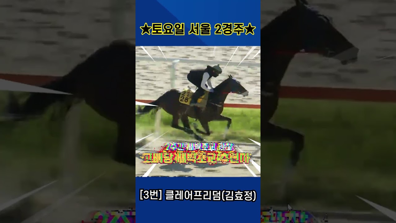 8월15일 토요일 서울 2경주!! 2주간 훈련보인 강백호의 새벽조교 쏘스마!!