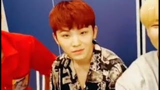 Seventeen's panicked faces after Spoilers followed by the Kill Bill Sirens