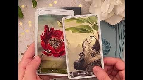 Christephania Kipper Unboxing + Flip Through