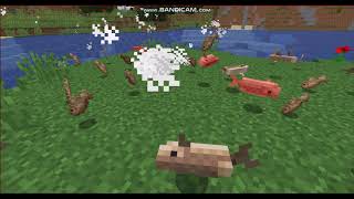 Minecraft ASMR [Fish clapping softly on the ground] screenshot 3