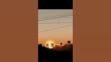 Beautiful Scenery Drawing Tutorial #ibispaintx #painting #digitalart #tutorial #drawing #shorts