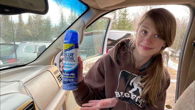 HERE'S THE BEST CARPET AND UPHOLSTERY CLEANER FOR YOUR CAR! UNDER $10 