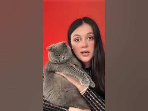 Моті від коті пробували?) - YouTube