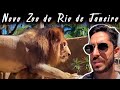 Novo zoológico do Rio - BioParque do Rio | Parte 1 (Leão, pássaros e répteis)