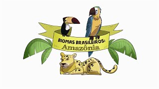 BIOMAS BRASILEIROS: AMAZÔNIA