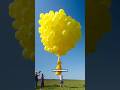 Mujer Vuela con Cientos de Globos Pero el Viento Arruinó Todo 🎈#shortsvideo