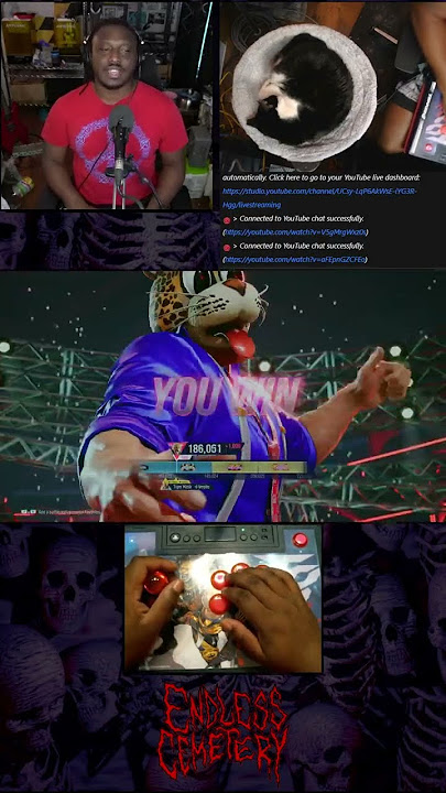 Craziest Slow-Mo With Kazuya #Tekken8 #Gaming #EndlessCemetery #TeamHailey