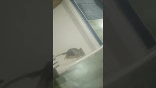 Bakit Grvng Takot Ni Tammy bicolanangsimplesna