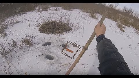 HOW TO USE BAITED 110 CONIBEAR