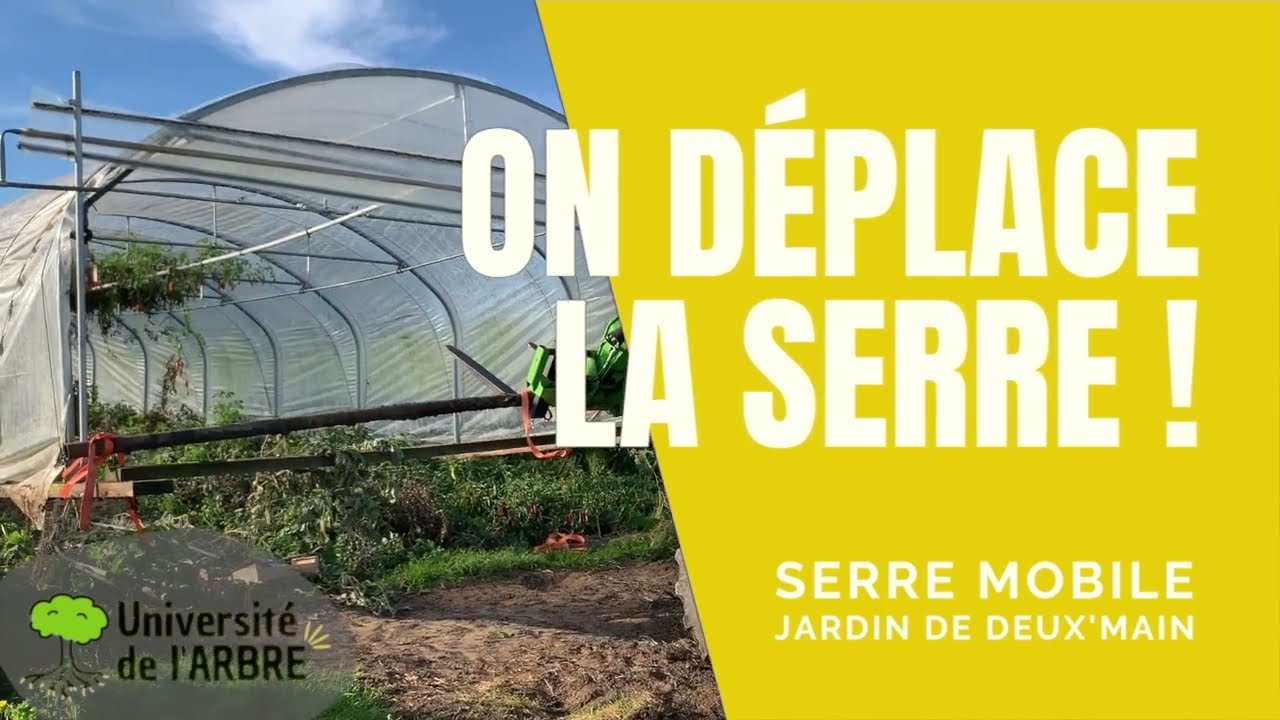 On déplace la serre mobile - Jardin de deux'main