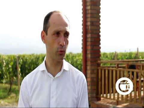 სოფელ შილდაში მინდიაშვილების ოჯახმა ღვინის მარანი გახსნა