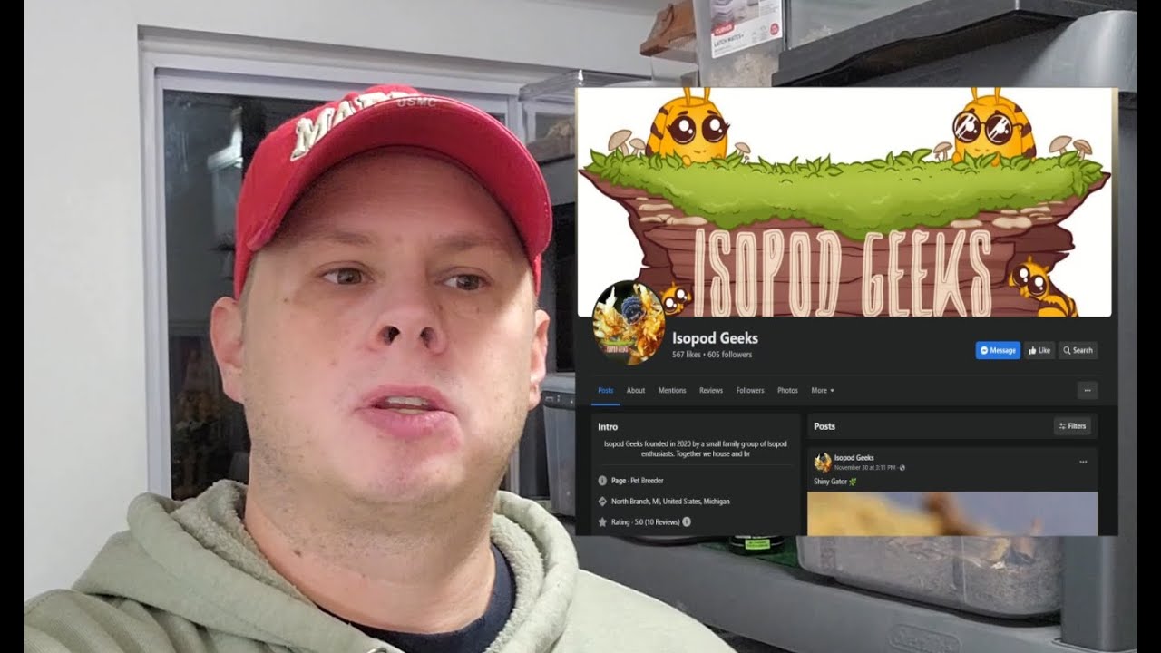 Isopod Unboxing Isopod Geeks and some BEAUTIFUL Armadillidium Gestroi