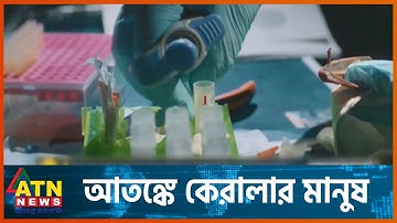নিপাহ ভাইরাসে করোনোর চেয়ে মৃ ত্যু হা র বেশি | Nipa Virus | ATN News