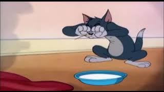 Vídeo Tom e Jerry para brincar