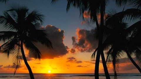 سورة يس الشيخ محمد عبدالقادر