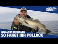 So fangt ihr pollack  angeln in norwegen  tipps zum pollackangeln mit gummifisch  anglerboard tv