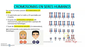 ¿Hay algún ser humano que tenga 48 cromosomas?
