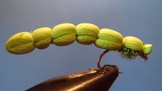 Inch Worm