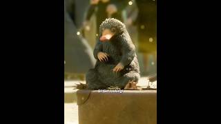 Niffler GPS: Tracking Tina, precision located #FantasticBeastsCrimesOfGrindelwald#anime