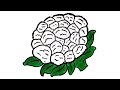 How to draw a cauliflower  cauliflower drawing step by step  vegetable drawing 