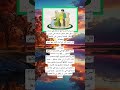 اخلاق الاسلام 