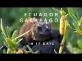 Ecuador and Galapagos Islands - 17 days trip in 17 minutes - Travel, Climbing, Diving and Drone - 4k