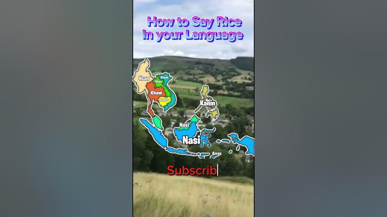 How To Say Rice In Your Language europe geography mapping how-to-say-rice-in-your-language-europe-geography-mapping