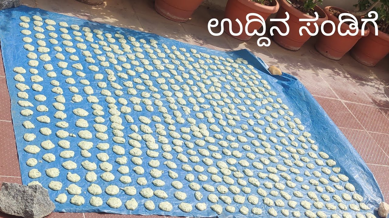 ವರ್ಷಕ್ಕೆ ಆಗುವಷ್ಟ್ಟು ಉದ್ದಿನ ಸಂಡಿಗೆ ಸುಲಭವಾಗಿ ಮಾಡಿ /ಖಾರ ಪ್ರಿಯರಿಗೆ ರುಚಿಕರ ಸಂಡಿಗೆ /uddina sandige recipe