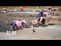 潮起潮落间 福清人用智慧与火候 将海的馈赠化作餐桌上的佳肴 插蛏 蛏卷 蛏饼 火把炒蛏 从滩涂到餐桌 不变的是对鲜美的极致追求 潮起潮落间 福清人用智慧与火候 将海的馈赠化作餐桌上的佳肴 插蛏 蛏卷 蛏饼 火把炒蛏 从滩涂到餐桌 不变的是对鲜美的极致追求