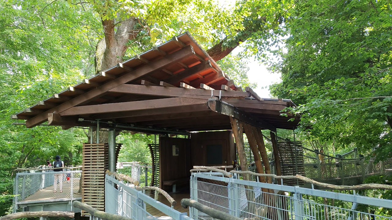 Morris Arboretum #1 , Philadelphia ,PA