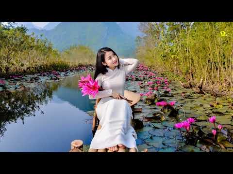 Video Hai bàn tay trắng (TONE NAM) 12d karaoke sub - youtube