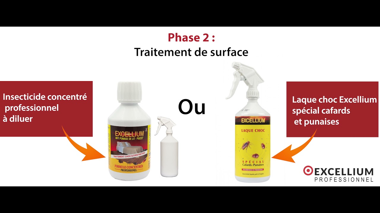 Anti punaises de lit - Préventif & curatif - 500ml - Verlina