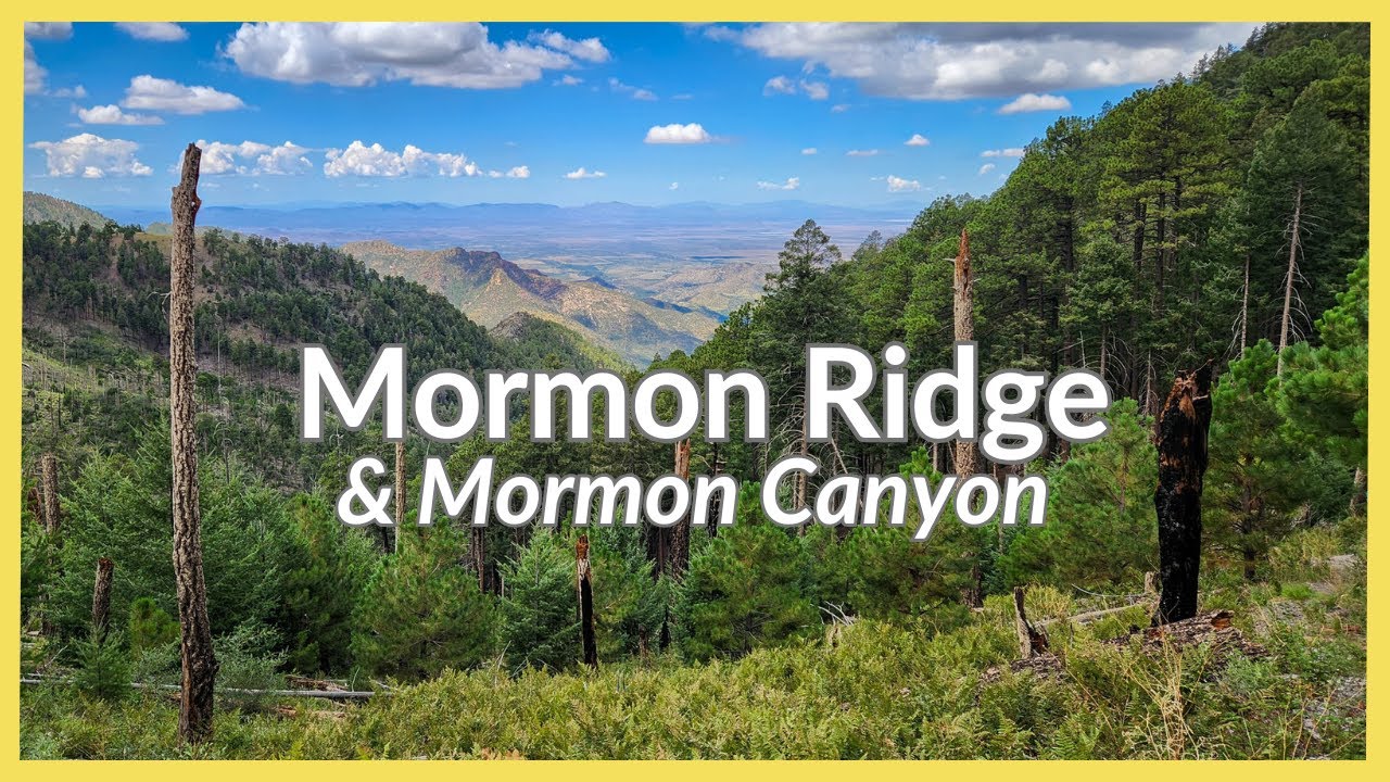 Chiricahua Mountains | Arizona | Mormon Ridge & Mormon Canyon Trails