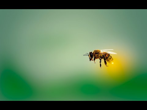 Video: Kako Sporazum V šali Med Zakoncema Pomaga Vrniti Občutke?