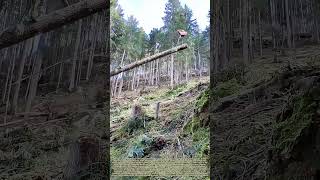 Hoisting Felled Logs: How Aerial Cable Systems Move Heavy Timber Across Steep Mountain Terrain