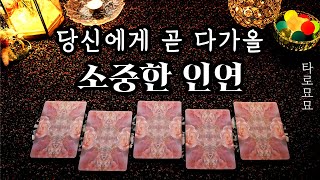 [타로] 당신에게 곧 다가올 소중한 인연