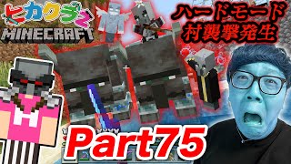 【ヒカクラ２】Part75 - 村が激しくハードモード襲撃…平和なカメ探しのはずが【マインクラフト】