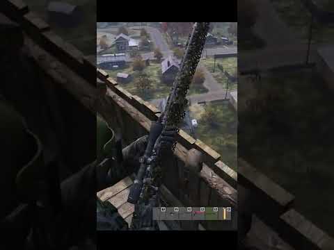 Да минус минус DAYZ #shorts  #dayz #dayzstandalone