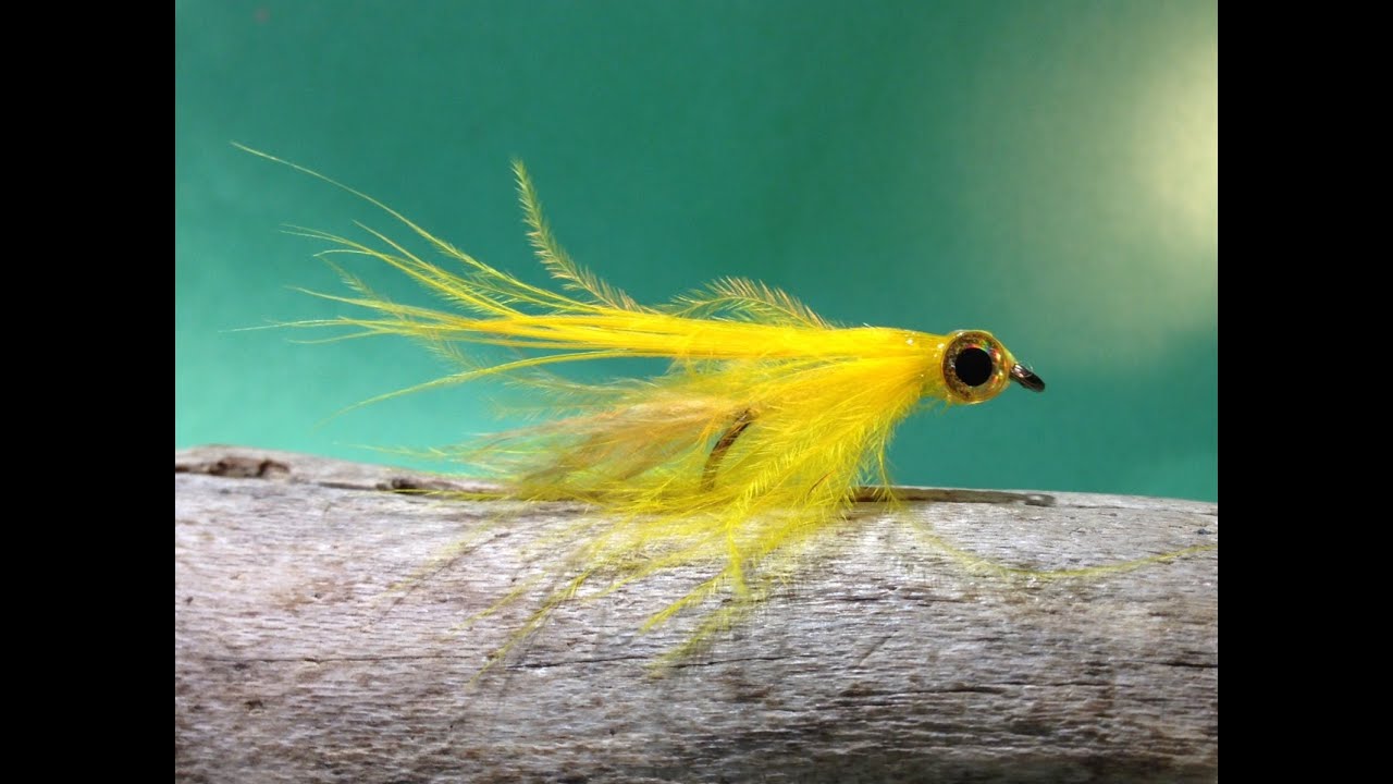 #184 YELLOW FINCH FLY VIDEO 