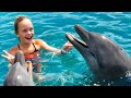 We play with dolphins on a tropical island kids fun tv