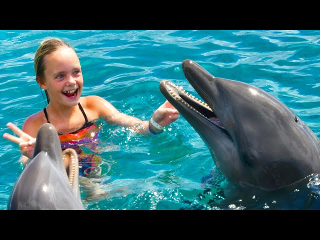We Play with Dolphins on a Tropical Island! Kids Fun TV class=