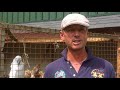 Carl Hester on the forthcoming FEI European Championships